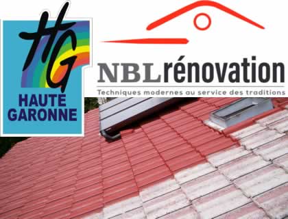 Entreprise experte en peinture de toiture Toulouse Haute Garonne 31